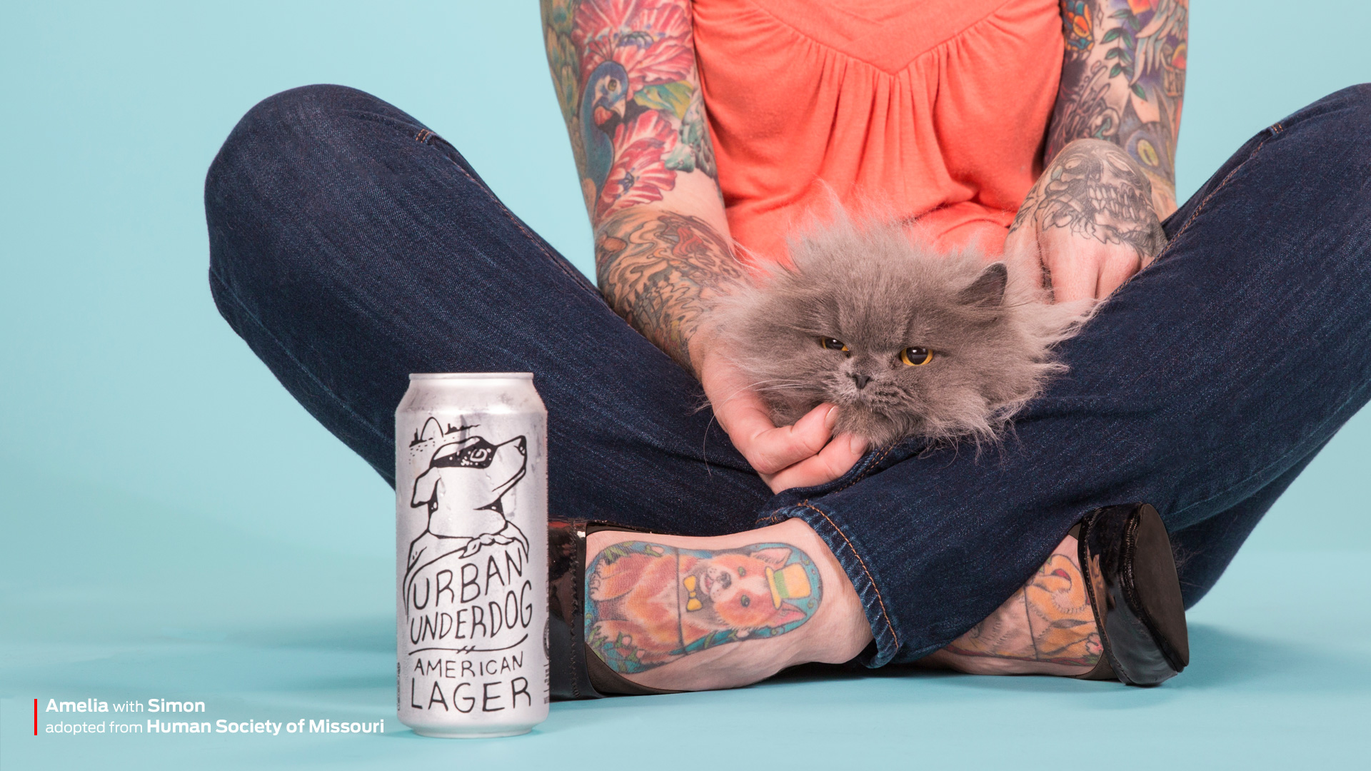 Urban Underdog - Purina branding