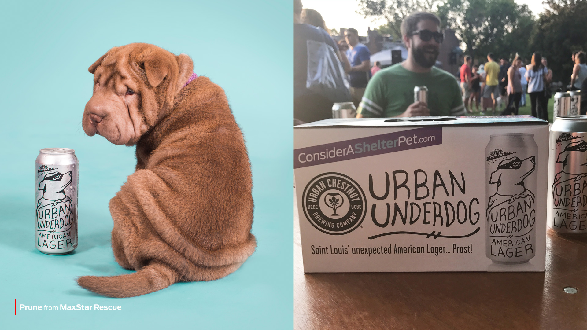 Urban & Purina partnership - Purina branding