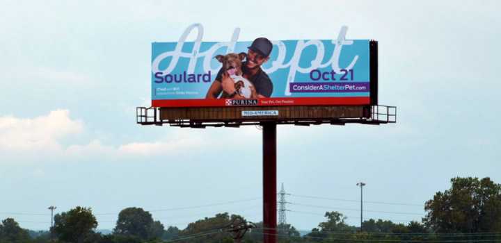 Purina billboard