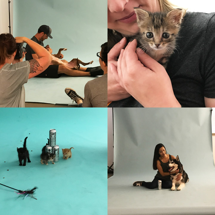 Purina pet photoshoot