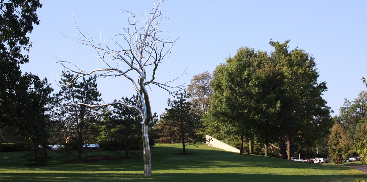 Forest Park Mobile App Paradigm New Media Group