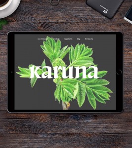 karuna web design, mobile responsive