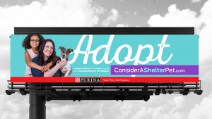 Our adoption campaign strategy featured billboard design, placed in key areas throughout the greater St. Louis area.