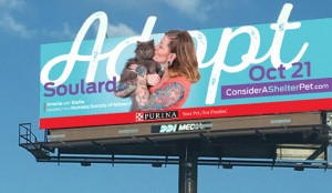 We designed the billboards for the #ConsiderAShelterPet campaign to promote the adoption event in late October 2017. Billboard designs featured an extended cutout to draw attention.