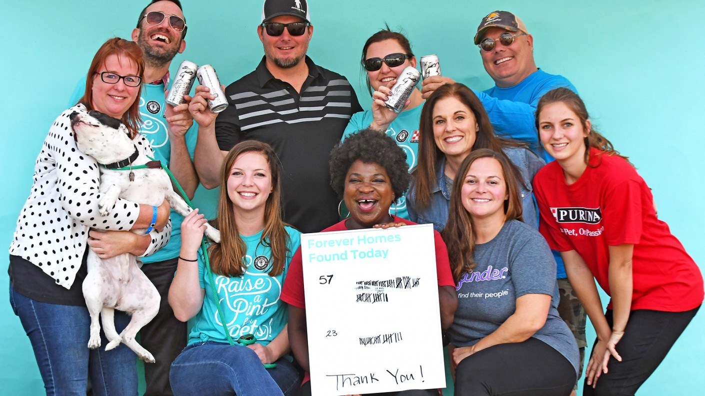 Purina's 2017 #ConsiderAShelterPet campaign was a success. The campaign saw an increased number of event attendees, increased social engagement, and increased adoptions tied to the event.