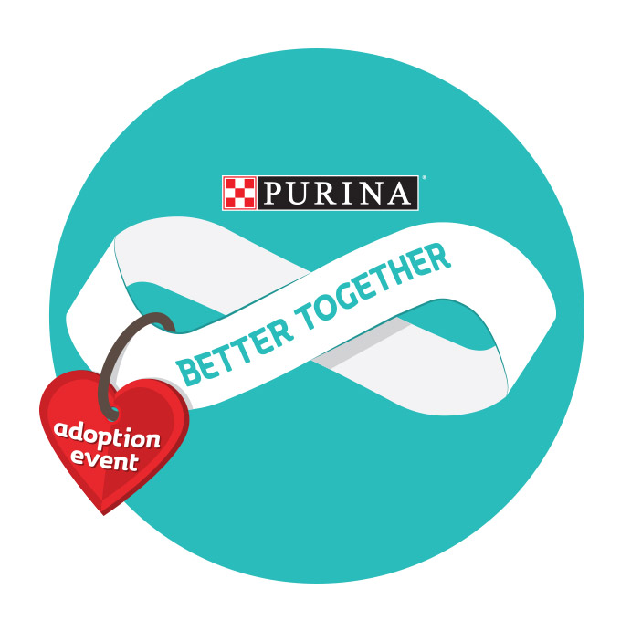 Our work with Purina's Better Together adoption event has evolved over the years, from challenging misperceptions of shelter pets to encouraging adoptions.