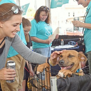 Shelters from across the greater St. Louis area were in attendance at the event, and each shelter had pets that were ready to be adopted. UCBC was at the adoption event, selling the Urban Underdog beer.