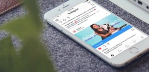 Purina instagram social media marketing post