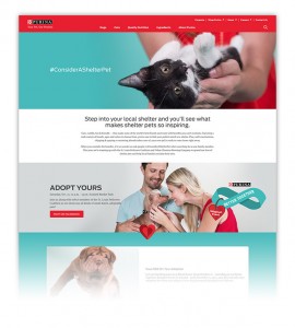 A campaign landing page was designed to provide information on the adoption event and encourage adopting from your local shelter.