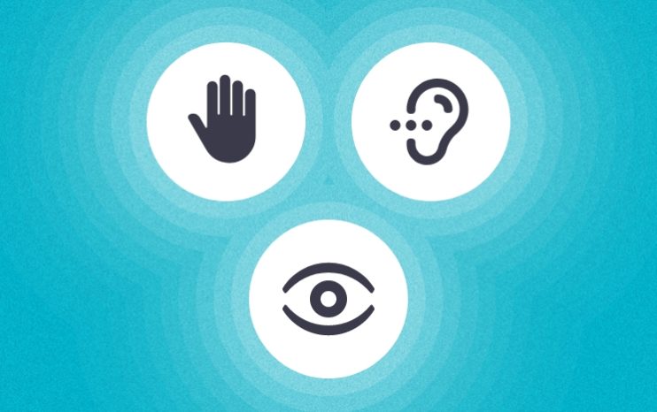 an icon of a hand, an ear and an eye in three white circles on a blue background