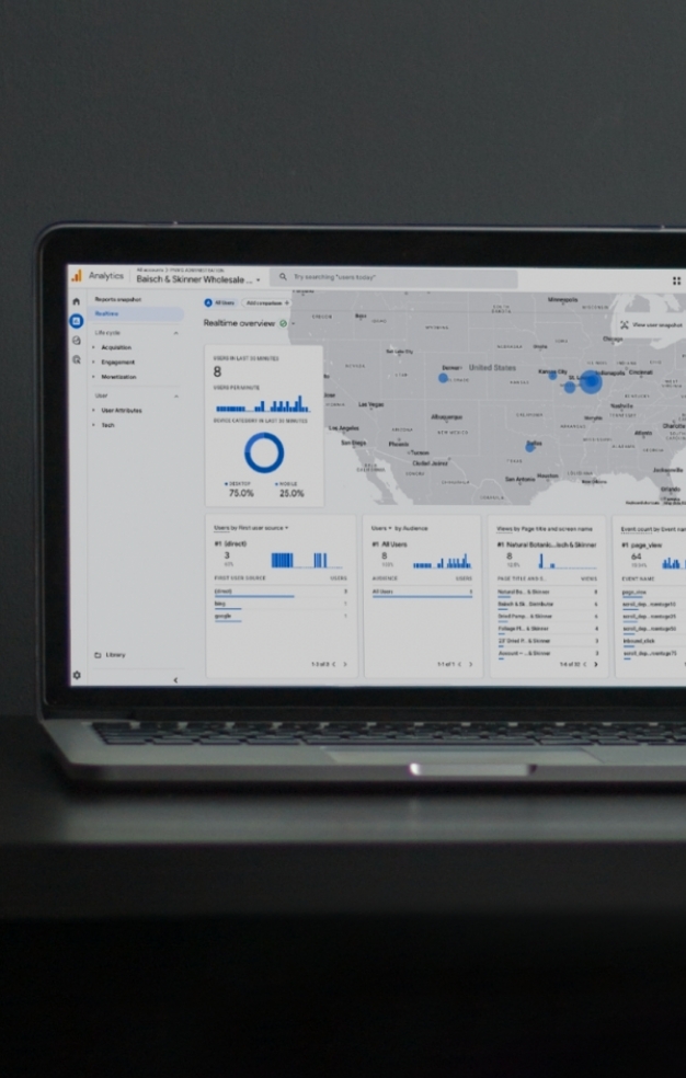 Comprehensive SEM Monitoring